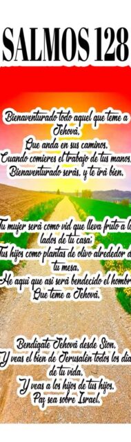 pergamino-grande-06