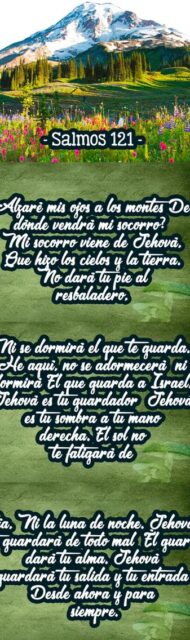 pergamino-grande-10