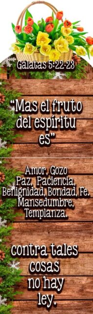 pergamino-grande-11